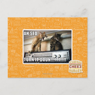 Ah Sed Turn it Down!! Postcard