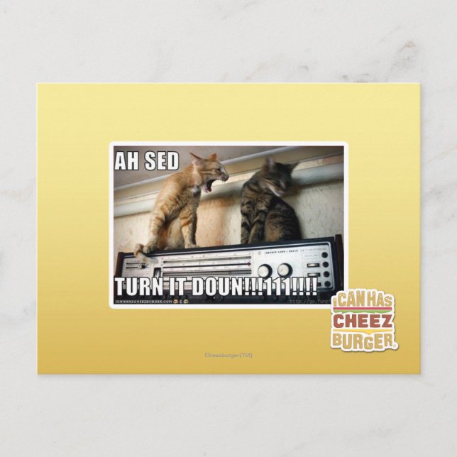 Ah Sed Turn it Down!! Postcard (Front)