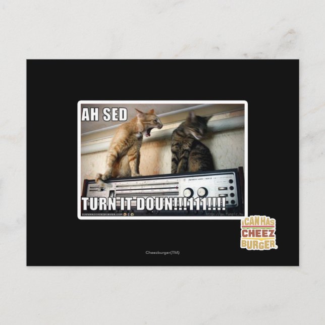 Ah Sed Turn it Down!! Postcard (Front)
