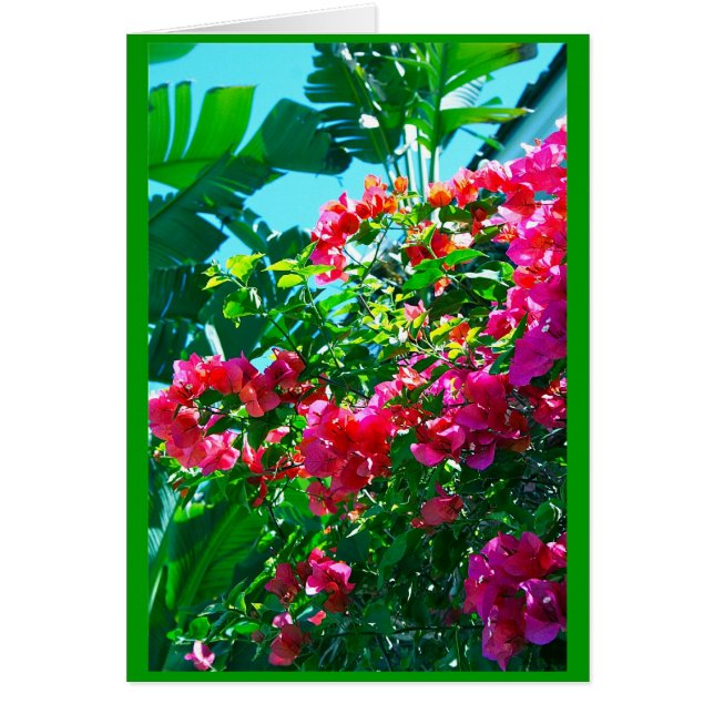 Ahh...Florida (Front)