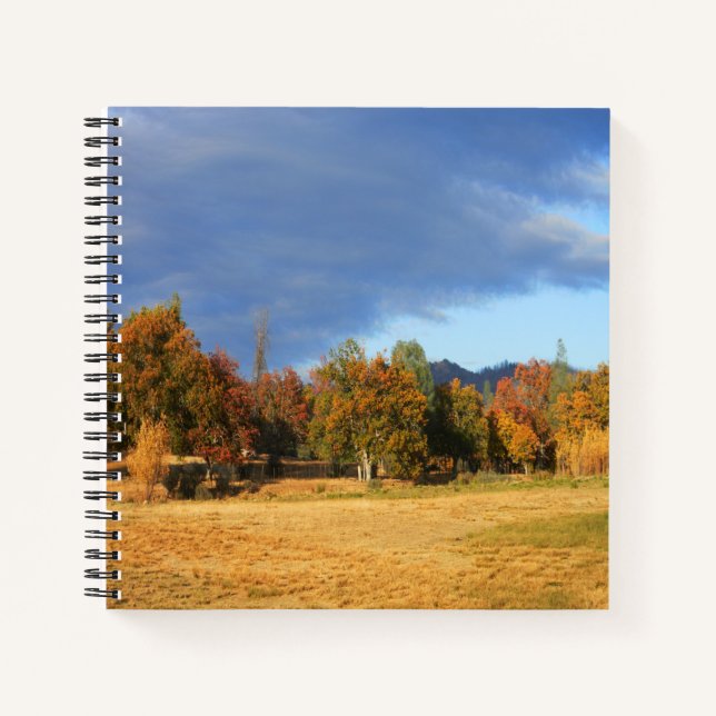 Ahhhh the colours of Fall... Notebook (Front)