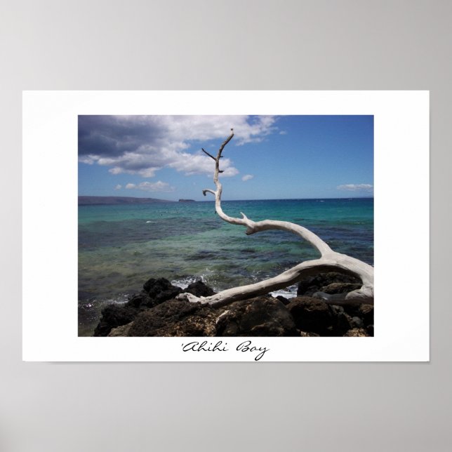 Ahihi Bay Poster (Front)