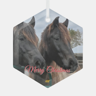 AHT Horse Rescue Glass Tree Decoration