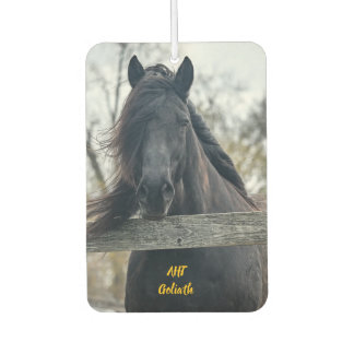 AHT Horse Rescue Goliath Car Air Freshener