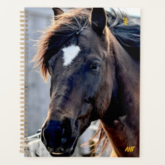 AHT Horse Rescue Planner