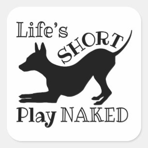 AHT "Life's Short" Stickers