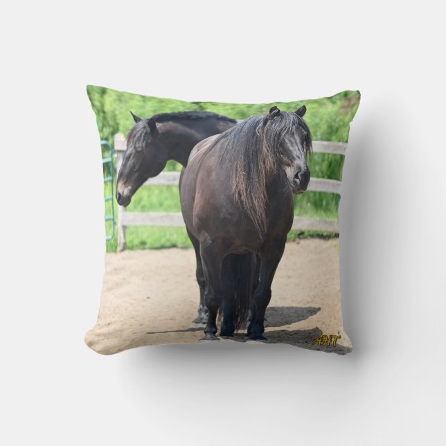 AHT Throw Pillow (Front)