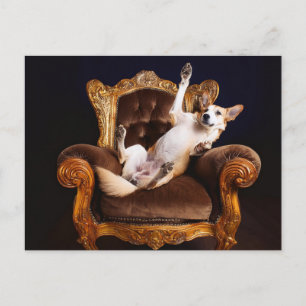 AI Dog Throne Postcard