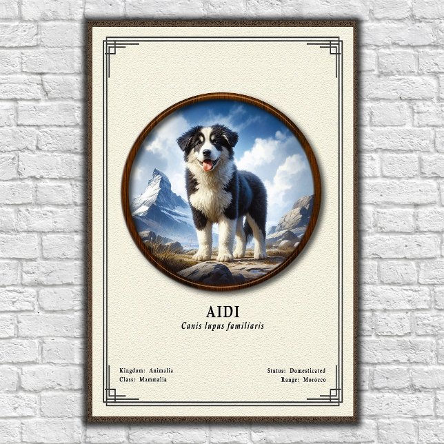 Aidi Zoology Series Poster (Creator Uploaded)