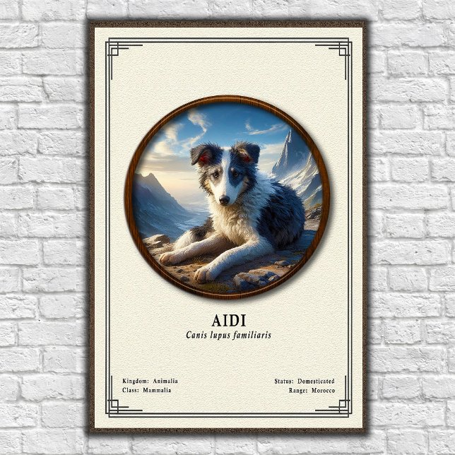 Aidi Zoology Series Poster (Creator Uploaded)