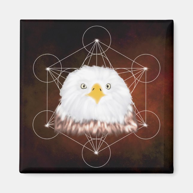 aigle metatron magnet (Front)