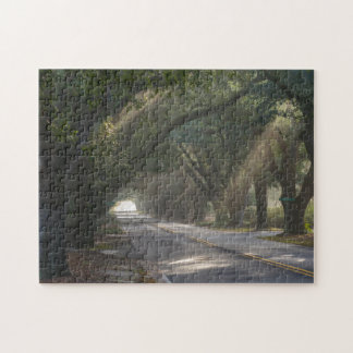 Aiken, SC, South Boundary Ave. Live Oak Tunnel Jigsaw Puzzle