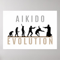 Aikido Evolution