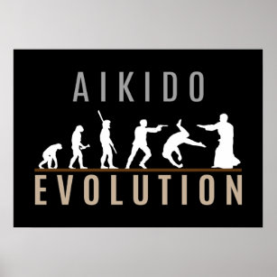 Aikido Evolution Poster