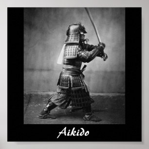 Aikido Japanese Martial Art Poster