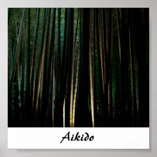 Aikido Japanese Martial Art Poster