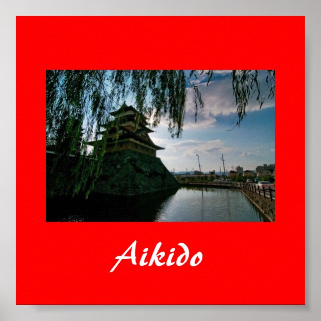 Aikido Japanese Martial Art Poster (Front)