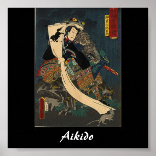 Aikido Japanese Martial Art Poster