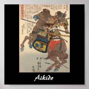 Aikido Japanese Martial Art Poster
