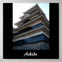 Aikido Japanese Martial Art