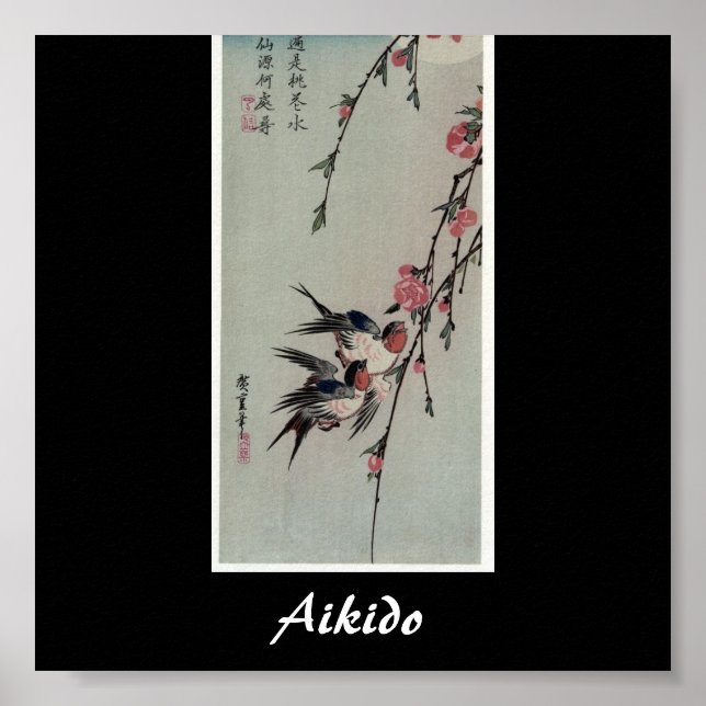 Aikido Japanese Martial Art Poster (Front)