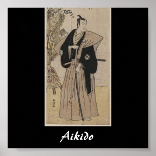 Aikido Japanese Martial Art Poster
