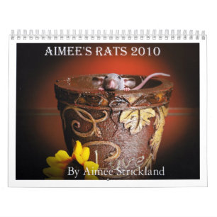 Aimee's rats 2010 calendar