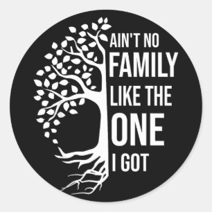 Ain't family like the one got funny family reunion classic round sticker
