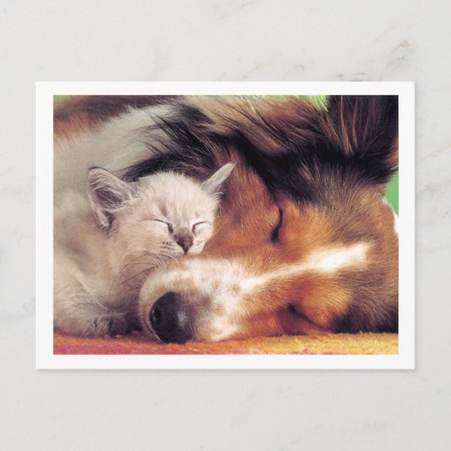 Ain't Love Grand Postcard (Front)