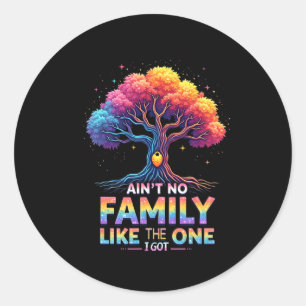 Ain't No Family Like The One I Got Family Reunion Classic Round Sticker