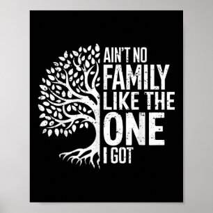 Aint No Family Like The One I Got Funny Family Reu Poster