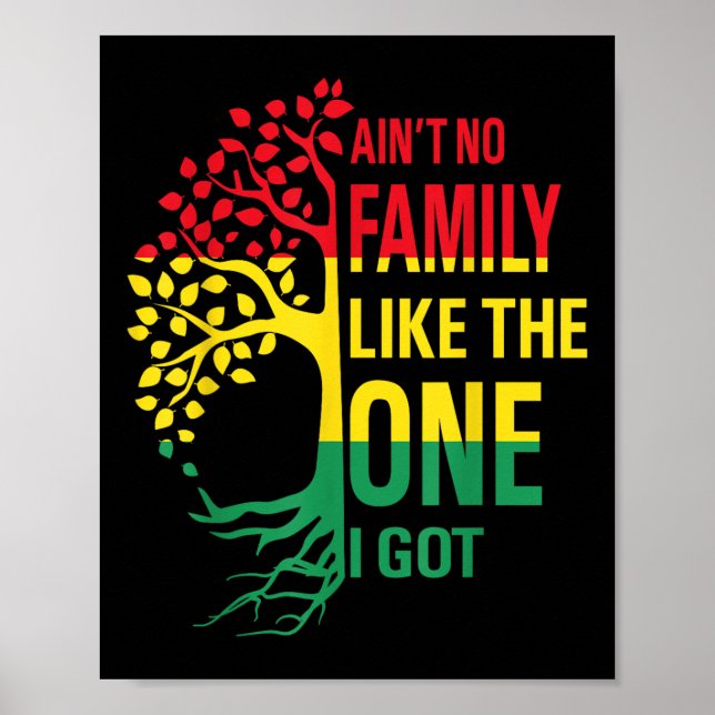 Aint No Family Like The One I Got Funny Family Reu Poster (Front)
