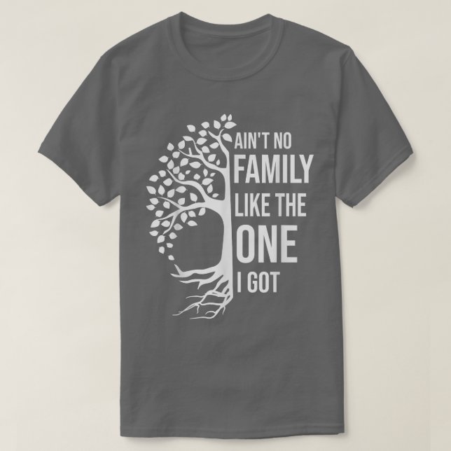 Aint No Family Like The One I Got Funny Family Reu T-Shirt (Design Front)