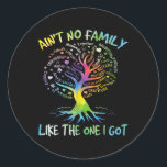 Aint No Family Like The One I Got Matching Family  Classic Round Sticker<br><div class="desc">Aint No Family Like The One I Got Matching Family Reunion</div>