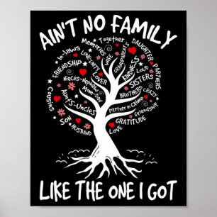 Ain't No Family Like The One I Got Matching Family Poster