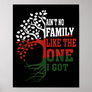 Aint No Family Like The One I Got Matching Family  Poster