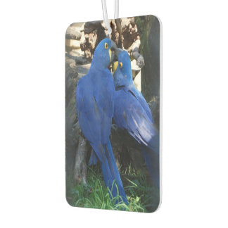 air car freshener _ parrots
