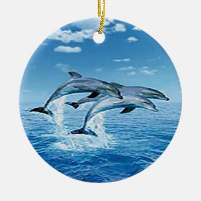 Air Dolphins Ornament (Front)