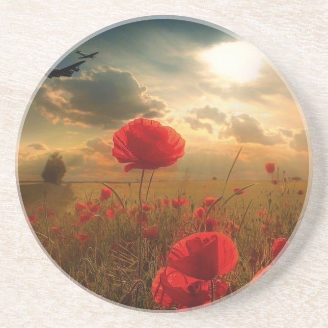 Air Force Tribute Coaster (Front)