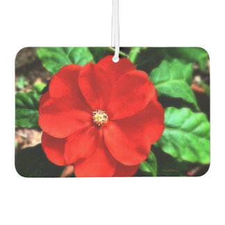 Air Freshener Flower