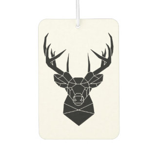 Air fresheners for cars / Air fresheners for cars