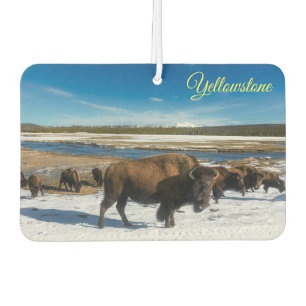 Air Freshner-Yellowstone Buffalo Car Air Freshener