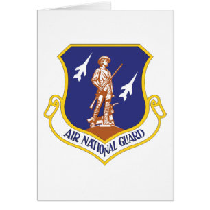 Air National Guard Military Veteran