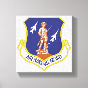 Air National Guard Military Veteran Canvas Print
