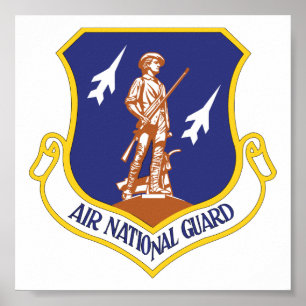 Air National Guard Military Veteran Poster