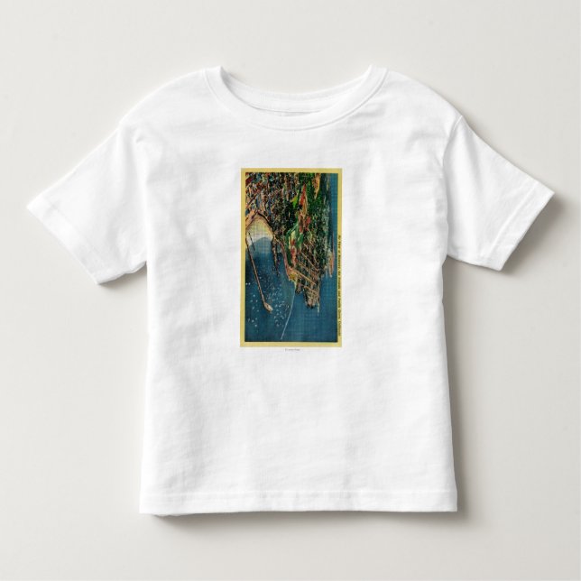 Air View of Monterey and Presido Toddler T-Shirt (Front)