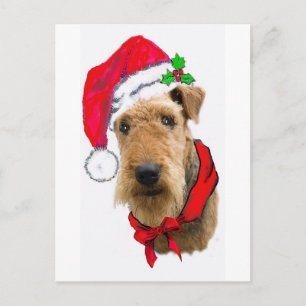 Airedale In Santa Hat Holiday Postcard