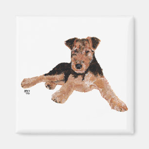 Airedale, Lakeland, Welsh Terrier Pup Magnet