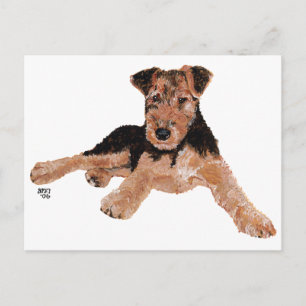 Airedale, Lakeland, Welsh Terrier Pup Postcard
