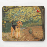 Airedale Terrier Birdwatching